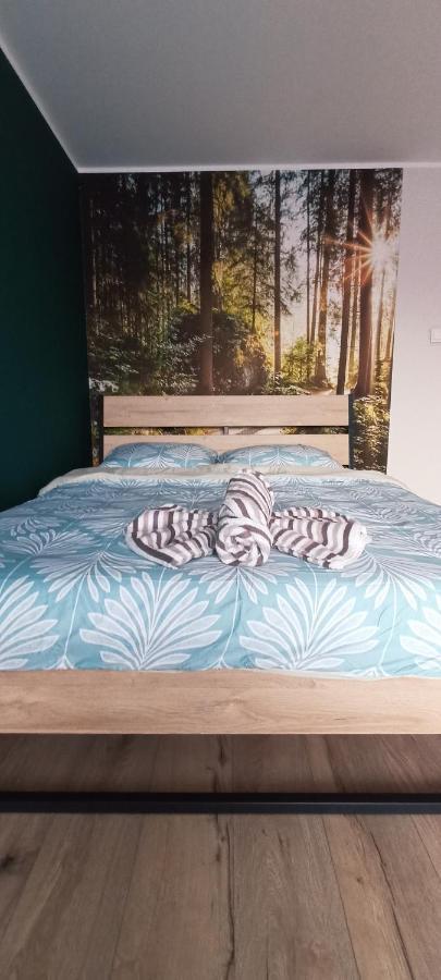 Apartamenty Diamond Na Sportowej Tylicz Luaran gambar